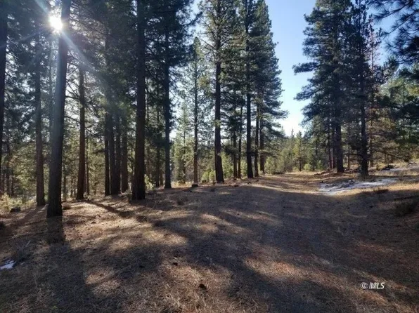 105 / Acres Off County Rd #133C, Davis Creek, CA 96108