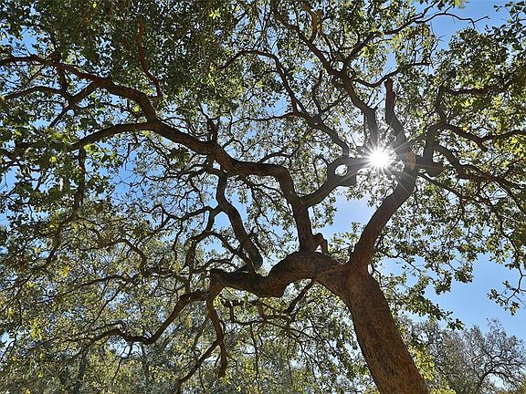 Come take a look at this gem today.