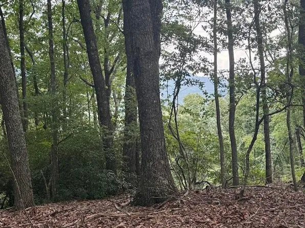 Lot 43 Pine Cove Lane, Murphy, NC 28906