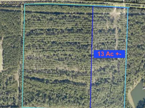 PARCEL 1 W Plymton Rd, Laurel Hill, FL 32567