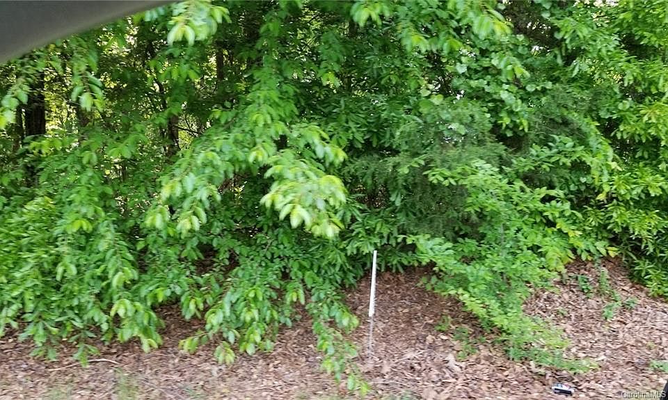 2nd image of 1 Possum Hollow Rd