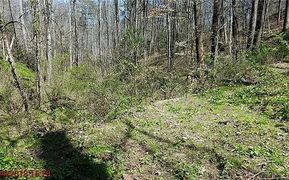 3rd image of 00 Hemlock Ln