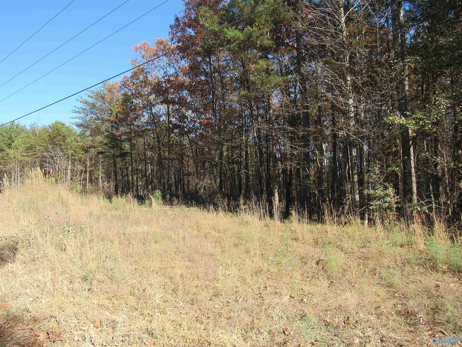 County Road 861, Gaylesville, AL 35973 | Zillow