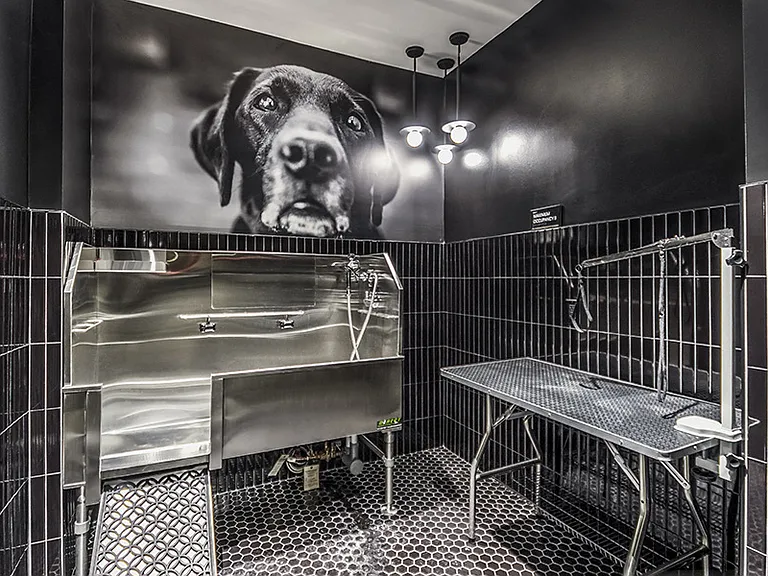 Pet-friendly community with Pet Spa