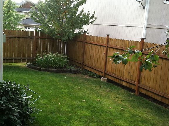Fenced Yard