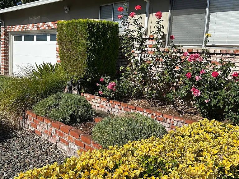 566 Joaquin Dr — Photo 5