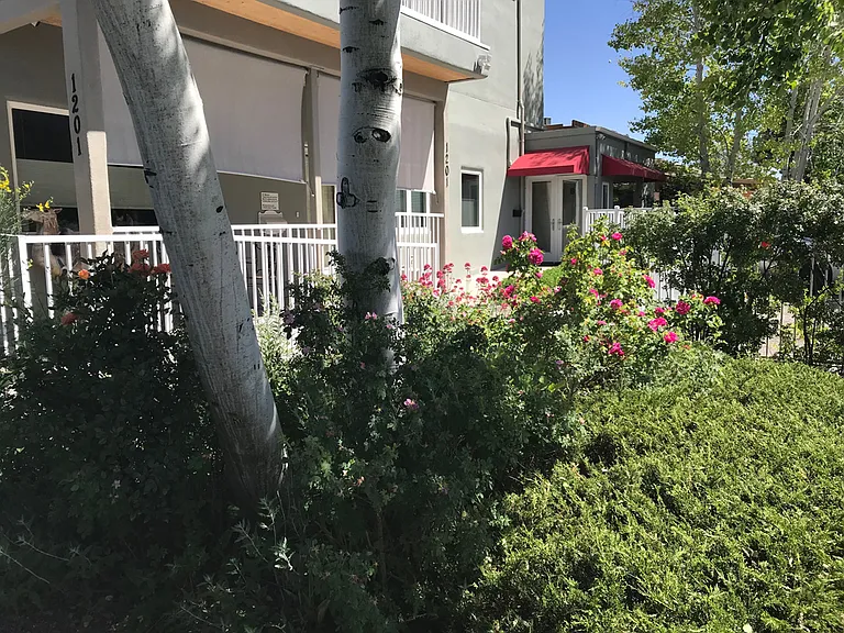 1201 Don Diego Ave — Photo 33