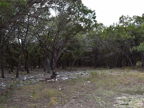 5th image of 2520 Black Bear Dr