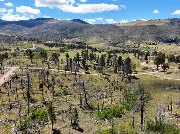 1131 Laker Ln, Fort Garland, CO 81133