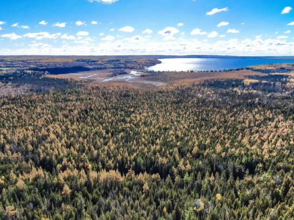 Hubbard Lake Rd, Hubbard Lake, MI 49747