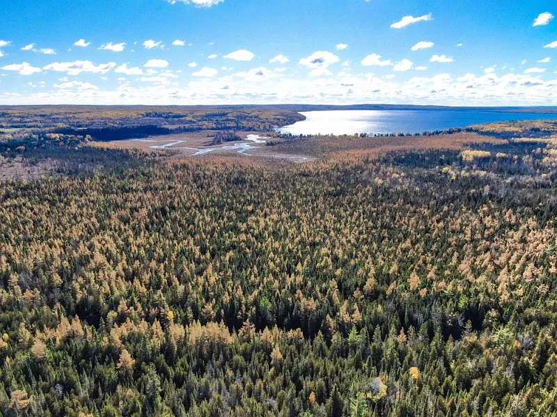 Hubbard Lake Rd photo 1