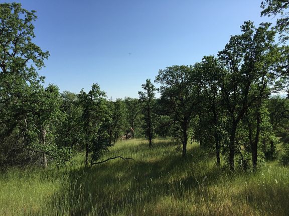 3rd image of 14 Acres