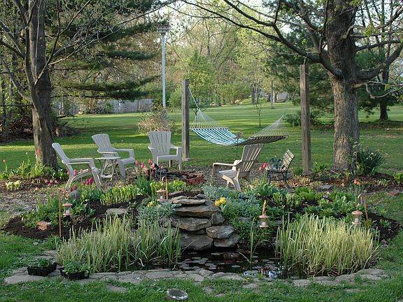 Amazing backyard!