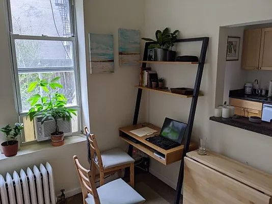 Rented by NY Living Solutions | media 13