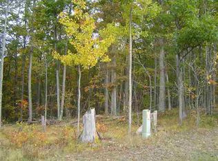 Misty Mdws, Higgins Lake, MI 48627