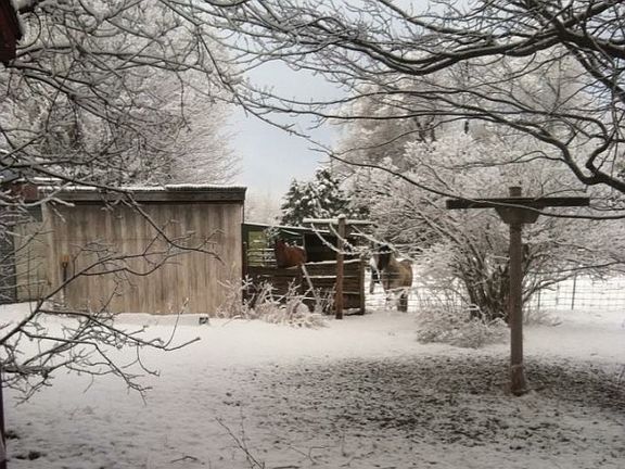 Small barn