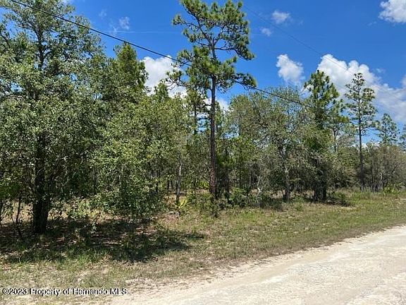 2nd image of 13283 Spruce Grouse Ave