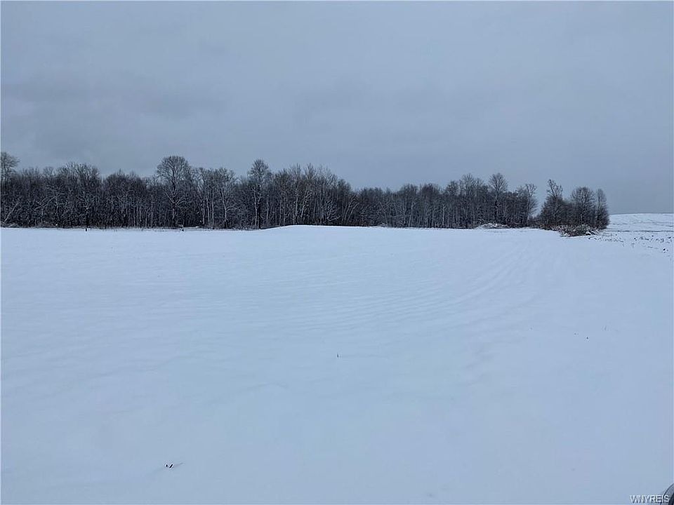 2nd image of Morley Rd
