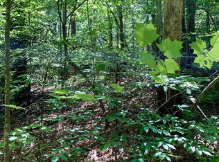 0 Dockery Rd, Tellico Plains, TN 37385