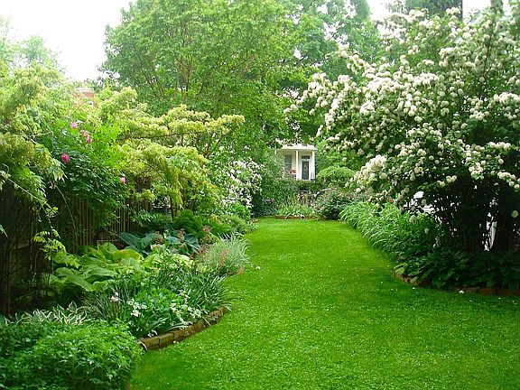 Garden back to front.