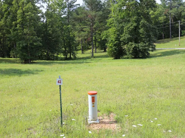 43 Pine View Dr, Benton, KY 42025