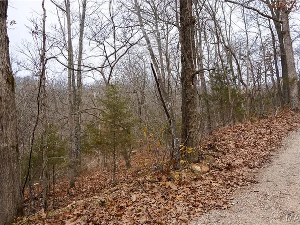 TRACT Holiday Ln #D, Dixon, MO 65459