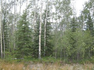 L8 B1 Silver Springs Rd, Copper Center, AK 99573