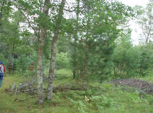 Buck Dr, Webb Lake, WI 54830