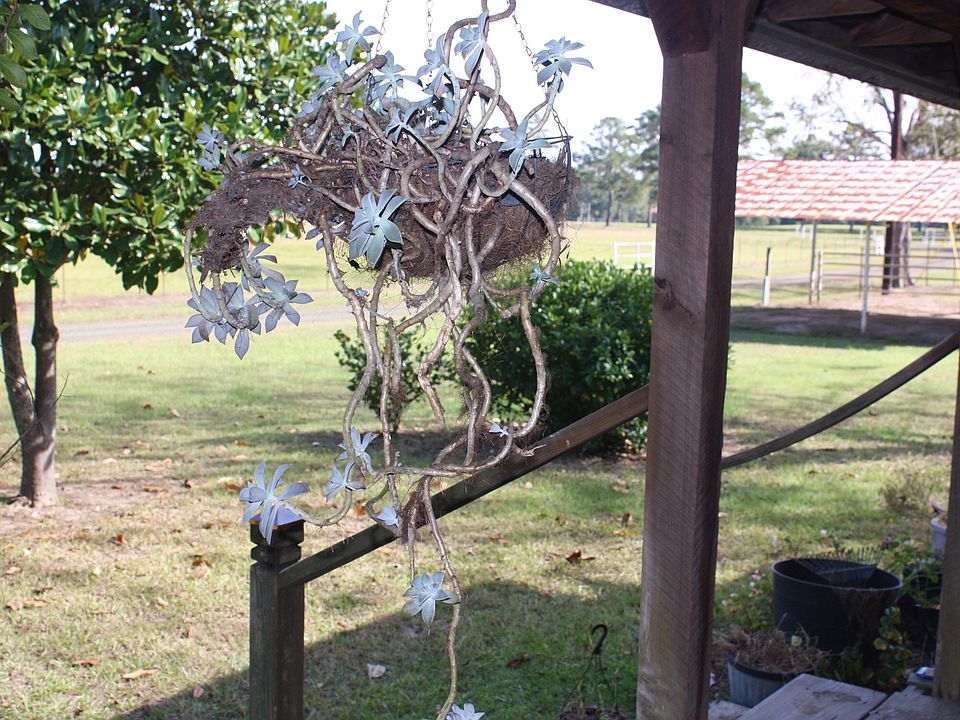 2nd image of 5009 County Road 2053