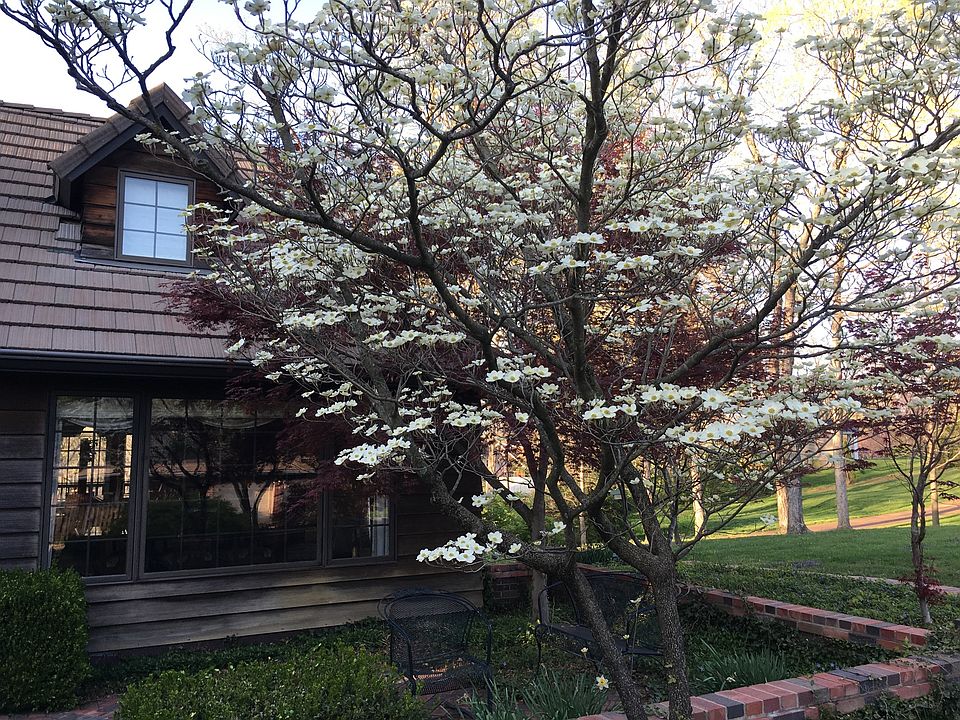 View of dining room & patio