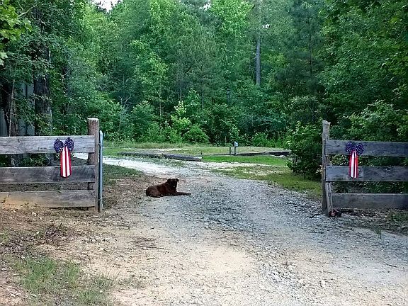 Entrance to property