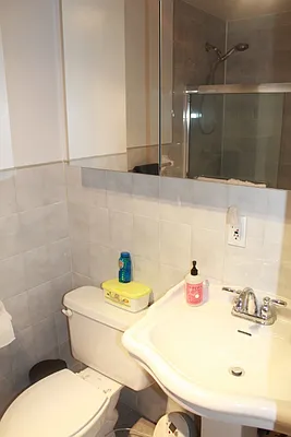 Rented by Brooklyn Real Property Inc | media 28