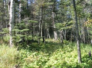 Reeves Rd LOT 1, Two Harbors, MN 55616