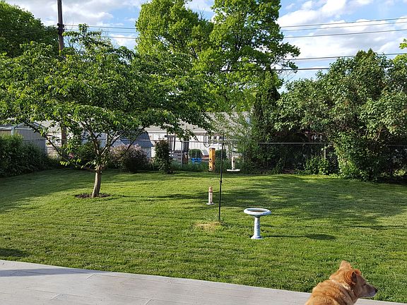 2nd image of 419 Carlisle Ave