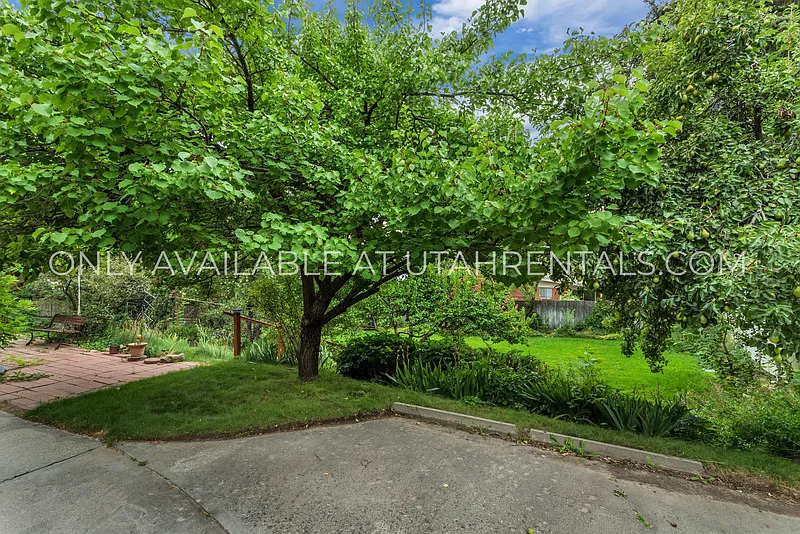 4 bed, 2.0 bath, 1750 sqft, $3,075 — Photo 4