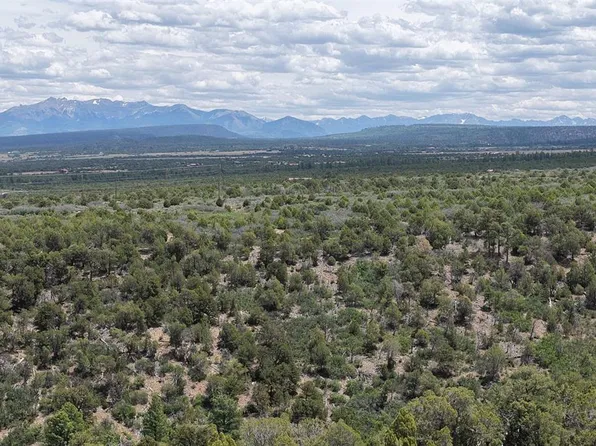 Unassigned Juniper Drive (42.2Y Road), Norwood, CO 81423