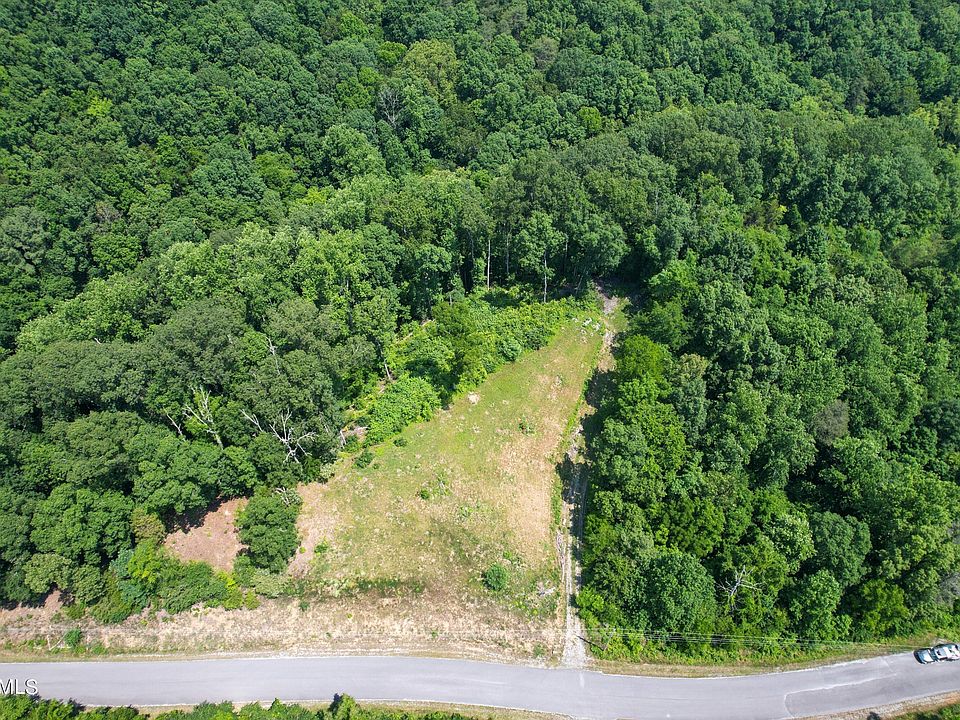 1st image of 52 Fork Horn Lot 52