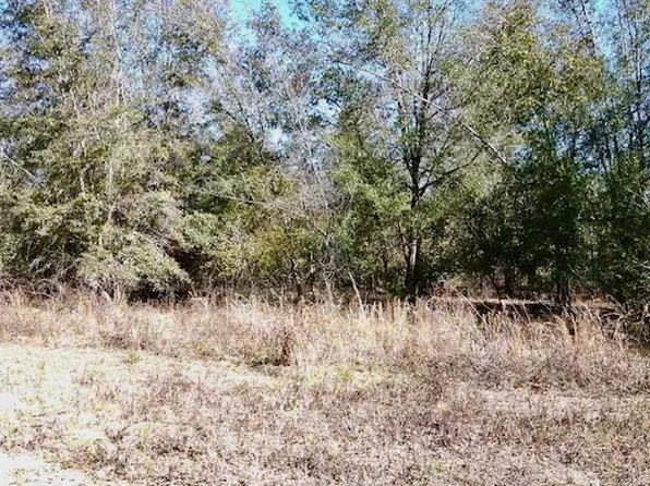 0 NE Blue Ridge Landing Ave #A, Lee, FL 32059