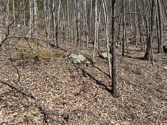 5th image of 18 Clingmans Vw Lot 18