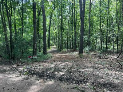 320 County Road 4683, Timpson, TX, 75975