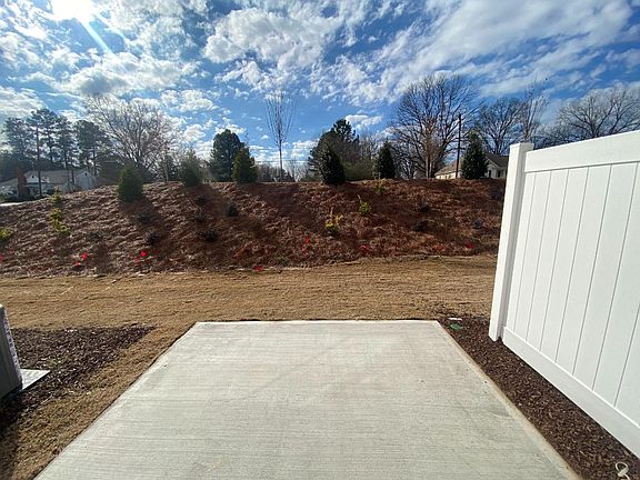 Back yard