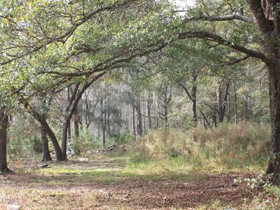 554 Shadowing Pines Rd, Hardeeville, SC, 29927