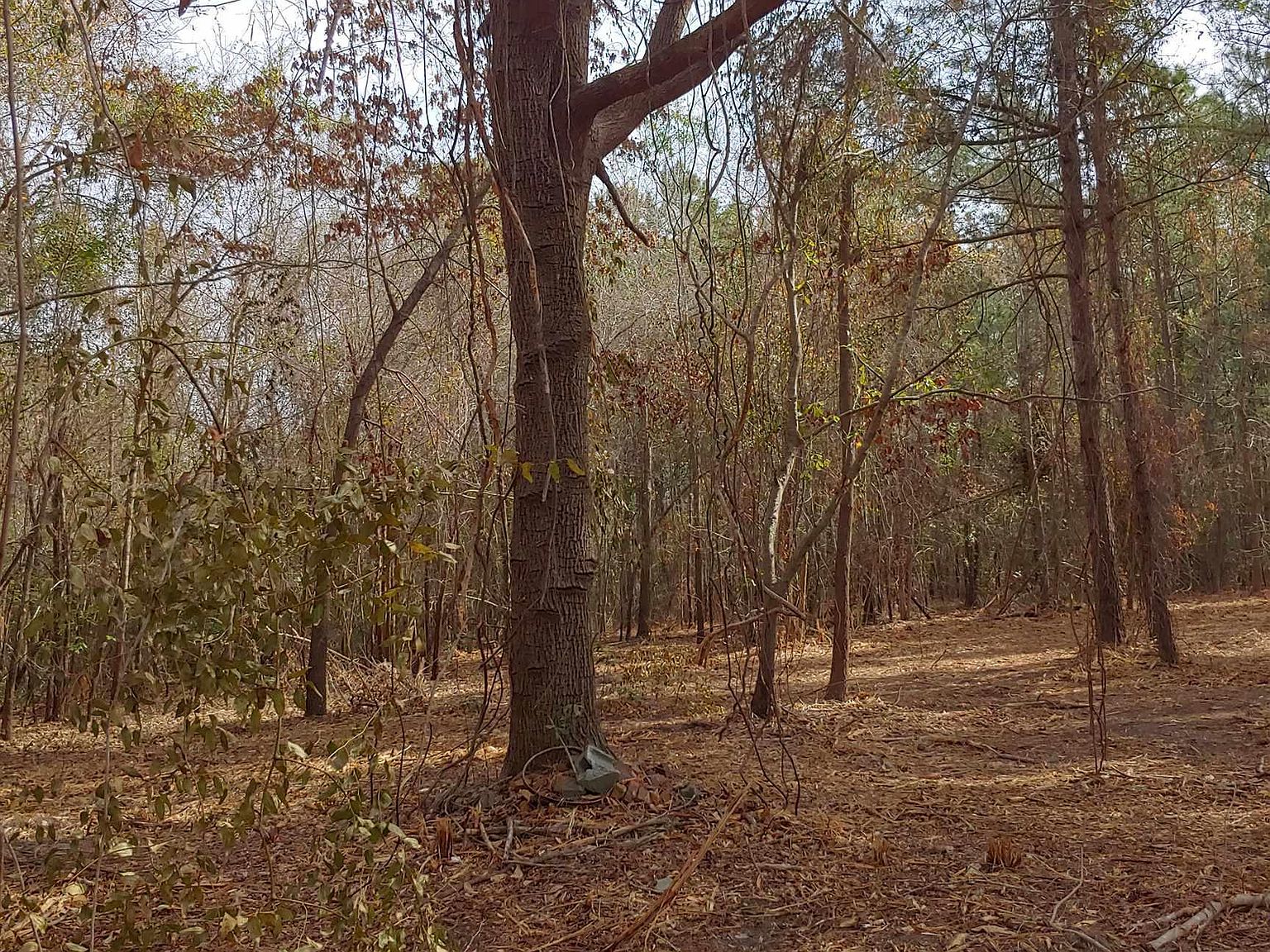 Lot 1 Valley Rd., Aynor, SC 29511 Zillow