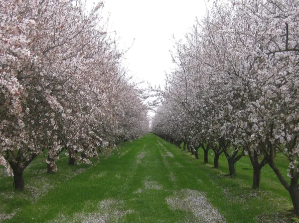 17677 Road 15, Madera, CA 93637