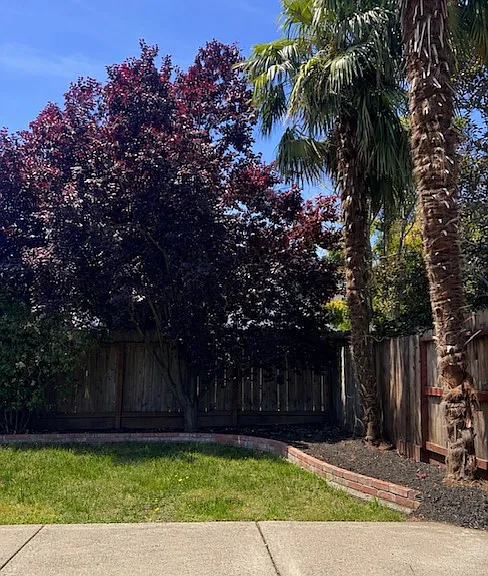 3955 Dunhill St — Photo 16