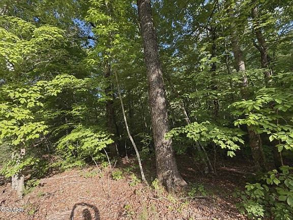 3rd image of 202122 Fox Hunters Ln Lot 20