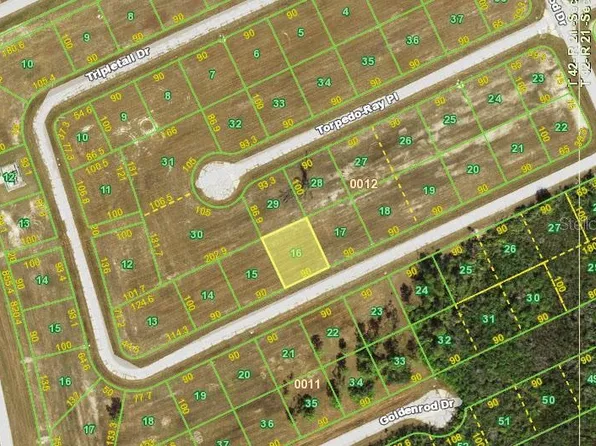 12414 Tripletail Dr Lot 16, Placida, FL 33946