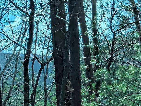 2nd image of 30 Eagle Ridge Rd #30-31