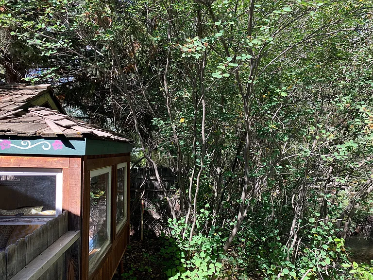 1472 Snowmass Creek Rd — Photo 8