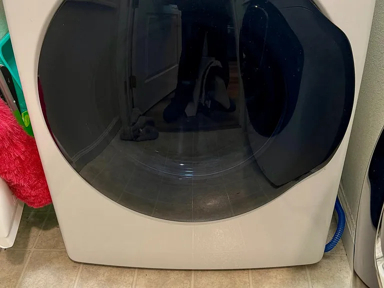 Samsung Gas Dryer